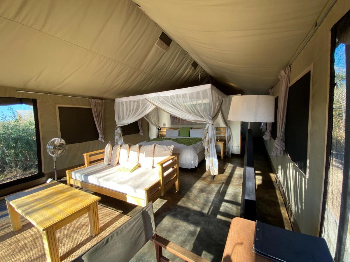 Honeyguide Tented Safari Camp - Khoka Moya Manyeleti Game Reserve Zewnętrze zdjęcie