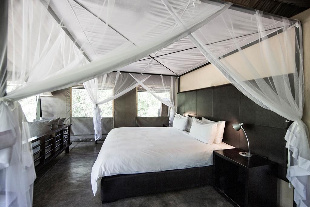Honeyguide Tented Safari Camp - Khoka Moya Manyeleti Game Reserve Zewnętrze zdjęcie